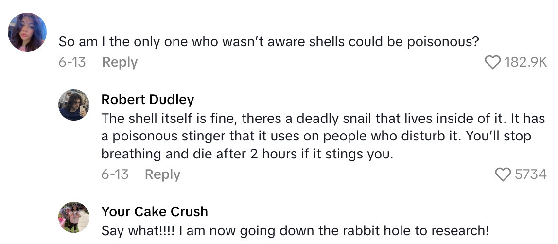 Screenshot 2025 07 06 at 6.24.09 PM A Beachgoer Had No Idea That She Picked Up A Poisonous And Lethal Cone Shell